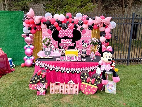 Mouse Photo Backdrop Hot Pink Happy Birthday pozadina za djevojku princeza Rođendanska zabava dekoracija