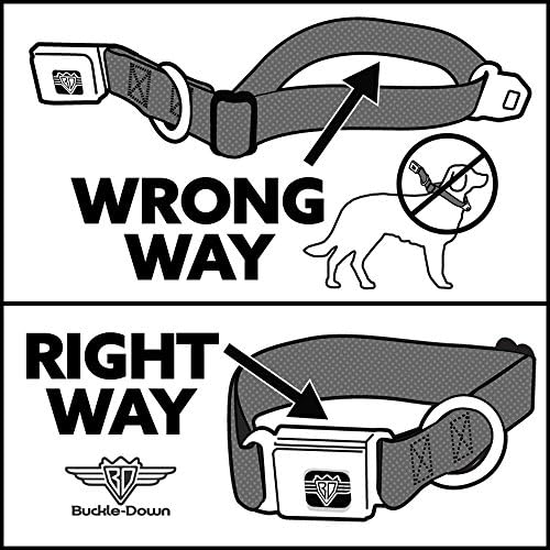 Ovratnik za pse sigurnosni pojas za vezanje tipa za kuhanje Trčani traper zrake 11 do 17 inča širine 1,0 inča