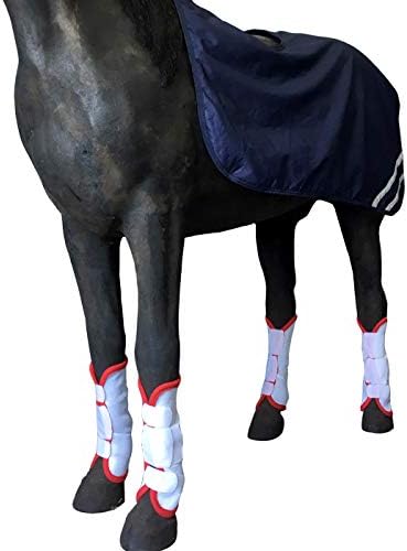 Čizme za konjsku mušicu-fly Horse čizme savršene za obloge za noge konja i maksimalni Set zaštite od konjske