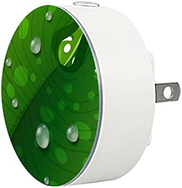 2 paketa Plug-in Nightlight LED noćno svjetlo sa senzorom sumraka do zore za dječiju sobu, rasadnik, kuhinju, hodnik kapi vode na Zelenom listu