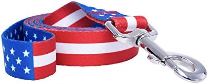 Američki ogrlica za zastavu i povodac set | Patriotski SAD koji odgovaraju štene povodom i ogrlicama za